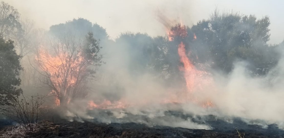 Incendio forestal.
