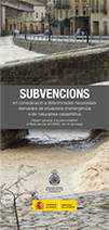folleto subvenciones valenciano 2024