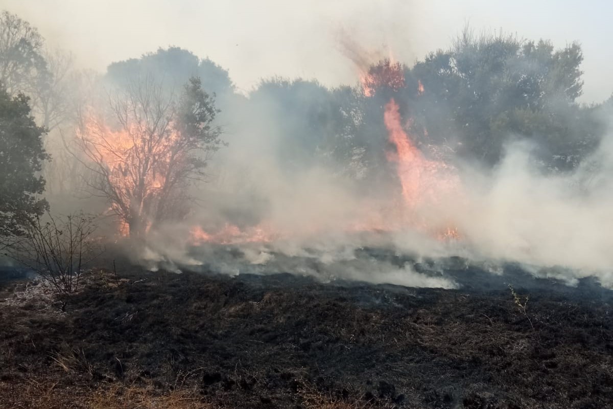 Incendio